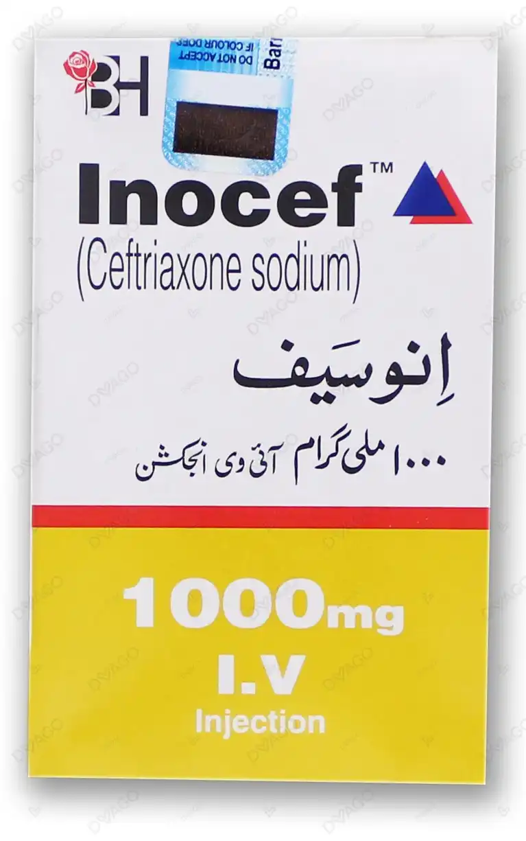 105 Inocef Iv Injection 1000Mg (1 Box = 1 Injection) - Image 1